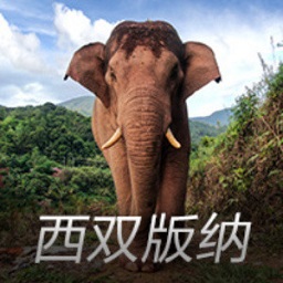 迈阿密vs温哥华数据：射门17比10、射正6比6、控球率58%比42%